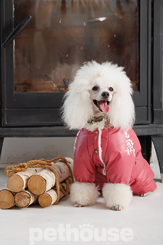 Pet Fashion Комбінезон "Cherry" для собак