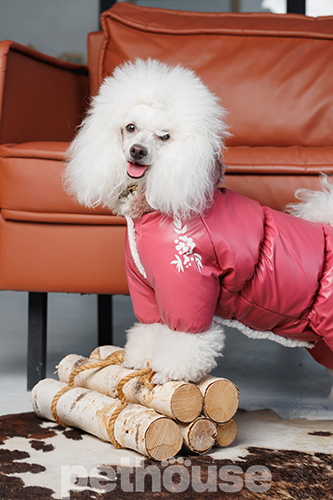 Pet Fashion Комбінезон "Cherry" для собак