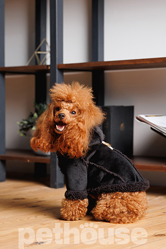 Pet Fashion Дублянка "Black" для собак