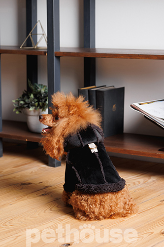 Pet Fashion Дублянка "Black" для собак