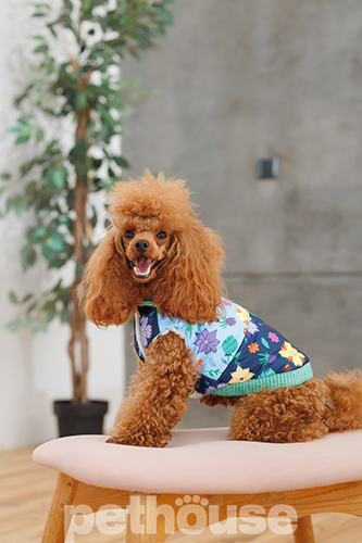Pet Fashion Жилет "Grass" для собак