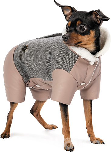 Pet Fashion Костюм "Twiddy" для собак
