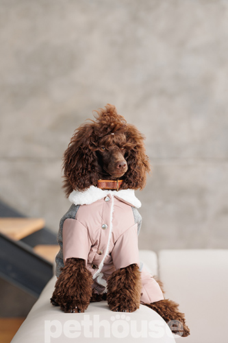 Pet Fashion Костюм "Twiddy" для собак