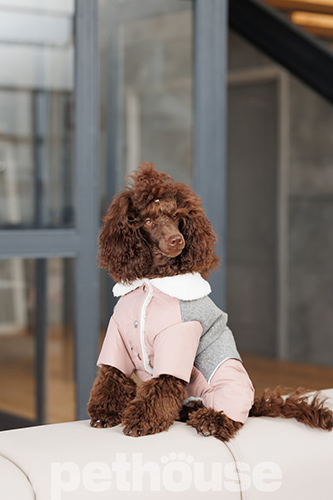 Pet Fashion Костюм "Twiddy" для собак