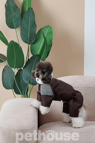 Pet Fashion Костюм "Locky" для собак