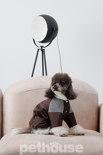 Pet Fashion Костюм "Locky" для собак