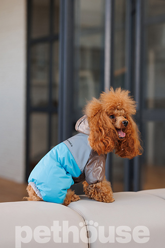 Pet Fashion Комбінезон "Сharlie" для собак
