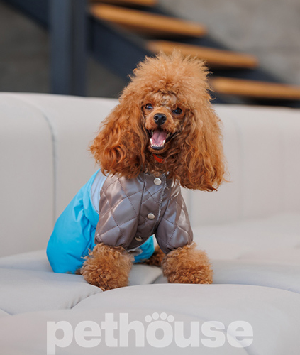 Pet Fashion Комбінезон "Сharlie" для собак