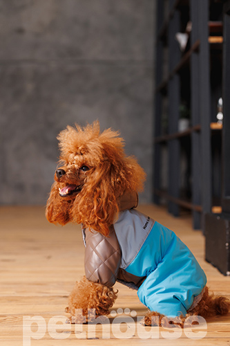 Pet Fashion Комбінезон "Сharlie" для собак