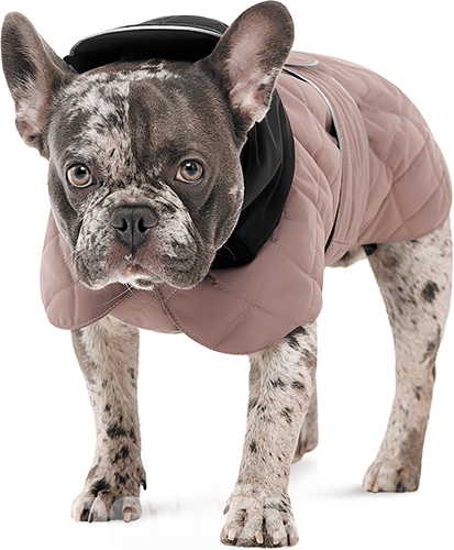 Pet Fashion Попона "Max" для собак
