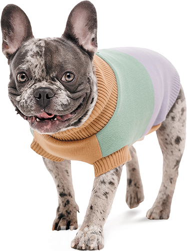 Pet Fashion Светр "Rich" для собак