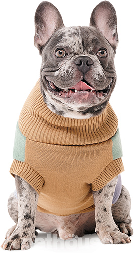 Pet Fashion Светр "Rich" для собак