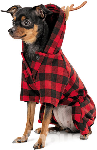 Pet Fashion Різдвяний костюм "Xmas" для собак