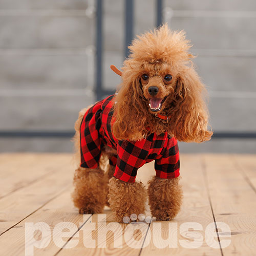 Pet Fashion Різдвяний костюм "Xmas" для собак