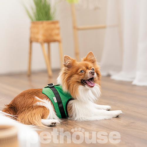 Pet Fashion Шлея "Ross" для собак