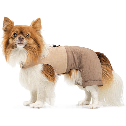 Pet Fashion Шлея-костюм "Darcy" для собак