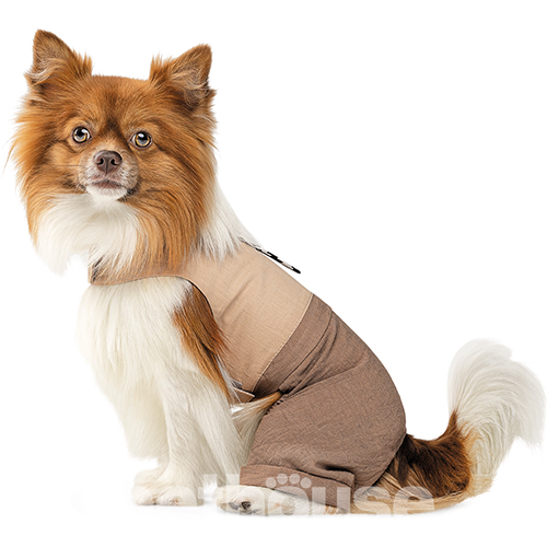 Pet Fashion Шлея-костюм "Darcy" для собак