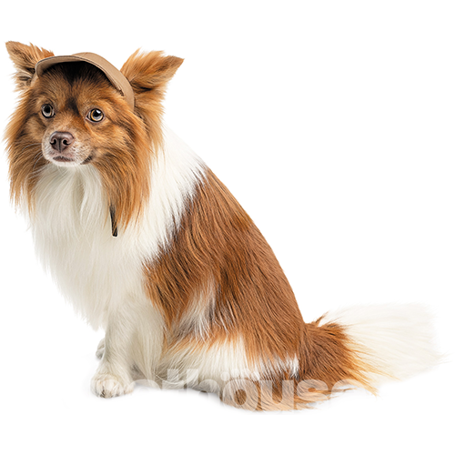 Pet Fashion Кепка "Phil" для собак