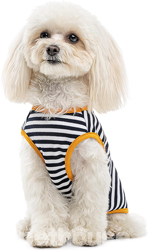 Pet Fashion Борцівка "Kale" для собак, смугаста