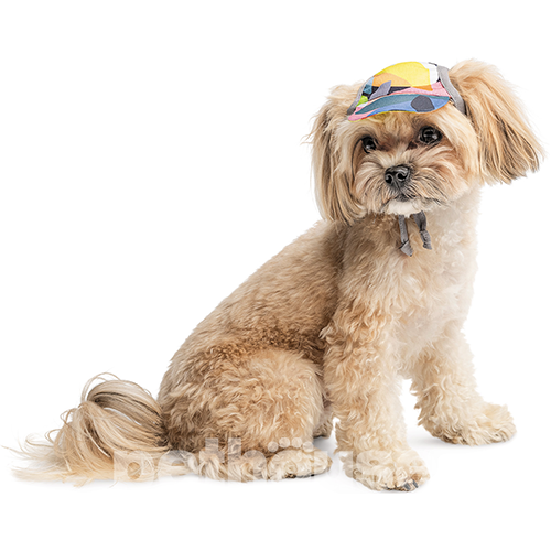 Pet Fashion Кепка "Tony" для собак