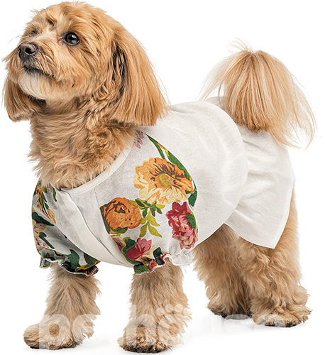 Pet Fashion Сорочка "Соломія" для собак, біла