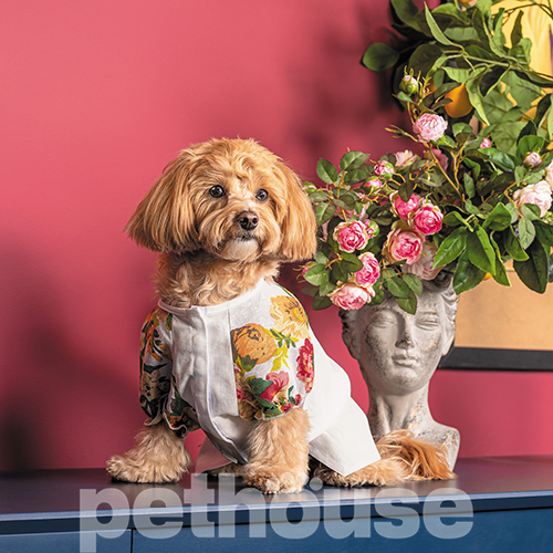 Pet Fashion Сорочка "Соломія" для собак, біла