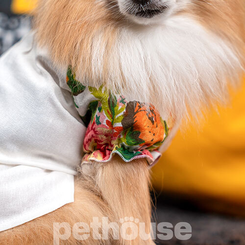 Pet Fashion Сорочка "Соломія" для собак, біла