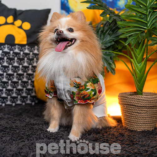 Pet Fashion Сорочка "Соломія" для собак, біла