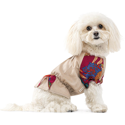 Pet Fashion Сорочка "Соломія" для собак, бежева