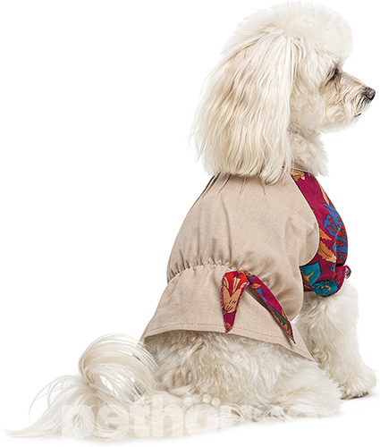 Pet Fashion Сорочка "Соломія" для собак, бежева