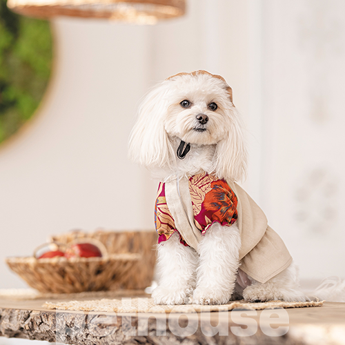 Pet Fashion Сорочка "Соломія" для собак, бежева