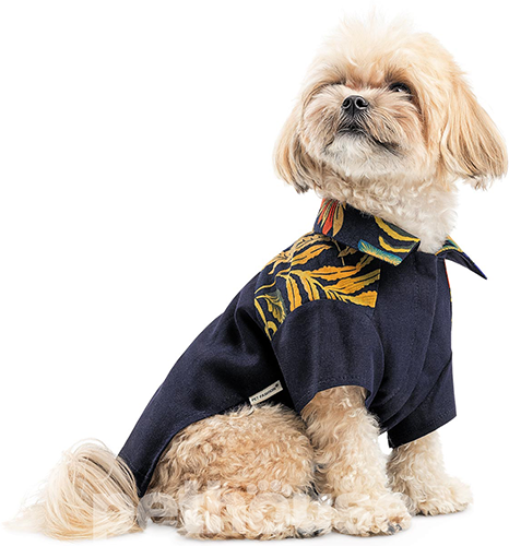 Pet Fashion Сорочка "Тарас" для собак