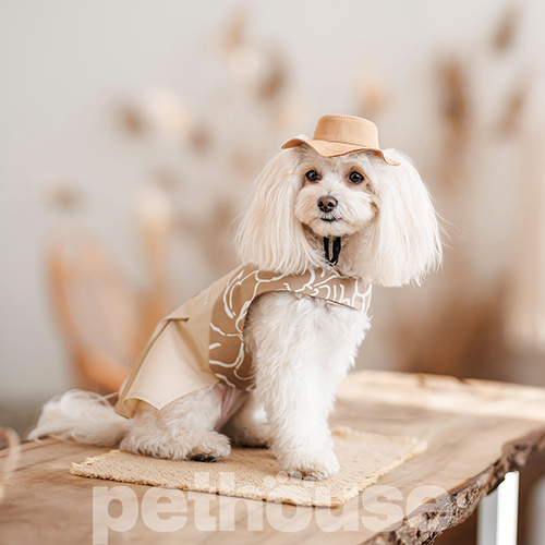 Pet Fashion Панама "Ava" для собак