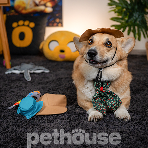 Pet Fashion Панама "Ava" для собак