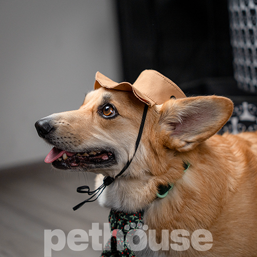 Pet Fashion Панама "Ava" для собак