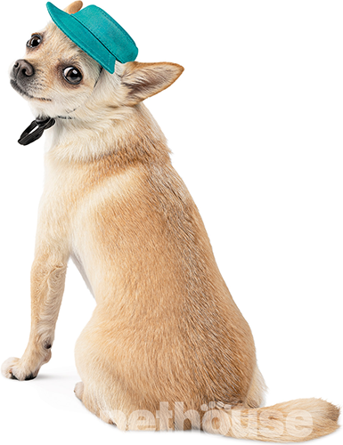 Pet Fashion Панама "Rob" для собак