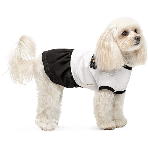 Pet Fashion Сукня "Chanti" для собак