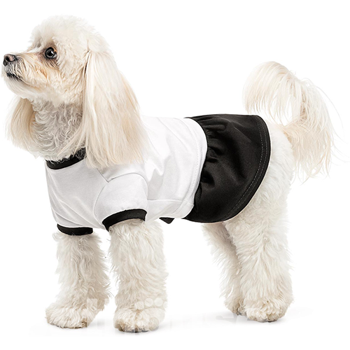 Pet Fashion Сукня "Chanti" для собак