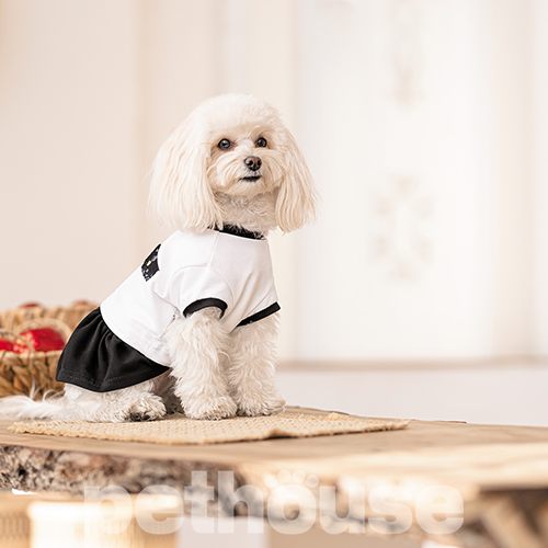 Pet Fashion Сукня "Chanti" для собак