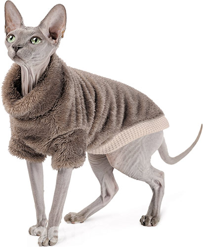 Pet Fashion Светр "Tim" для котів, кавовий
