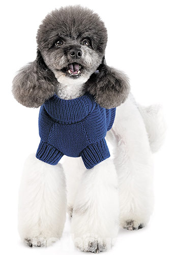 Pet Fashion Свитер "Sam" для собак, синий