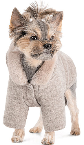 Pet Fashion Толстовка "Flex" для собак