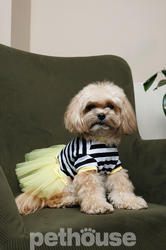 Pet Fashion Платье "Liana" для собак