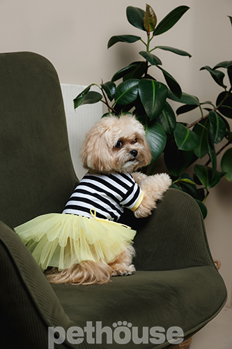 Pet Fashion Платье "Liana" для собак