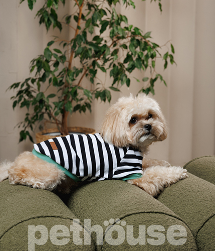 Pet Fashion Футболка "Breeze" для собак