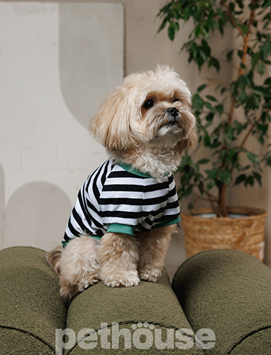 Pet Fashion Футболка "Breeze" для собак