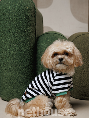 Pet Fashion Футболка "Breeze" для собак