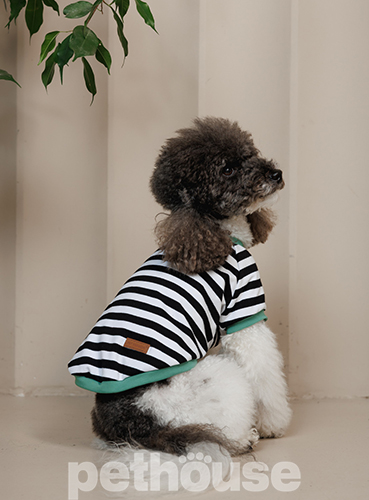 Pet Fashion Футболка "Breeze" для собак