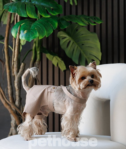 Pet Fashion Шорти "Leo" для собак