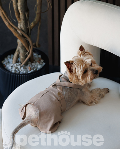Pet Fashion Шорти "Leo" для собак